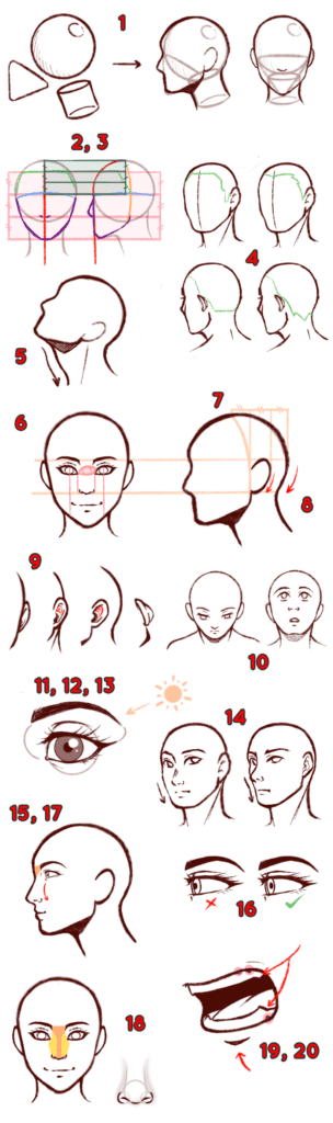 Dessiner le visage - Dossier Anatomie #3 053DA9F0 2B73 4A0A A103 7DFA6A99748F