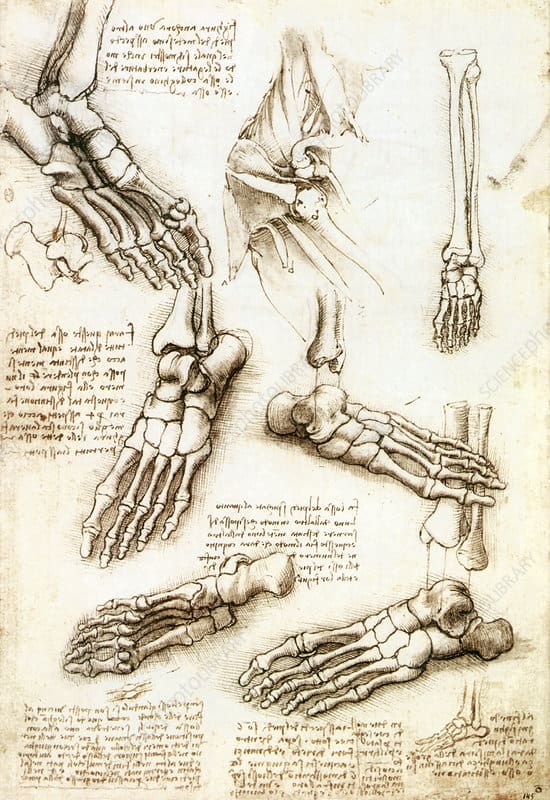 Dessiner les pieds - Dossier Anatomie #4 800wm