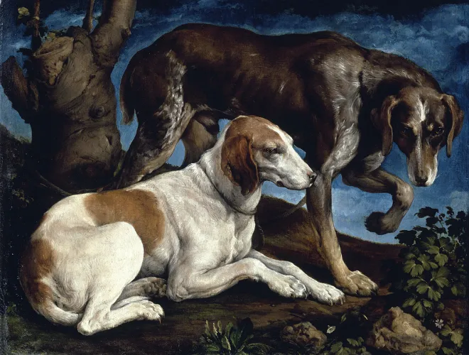 Comprendre les canidés pour mieux les dessiner - Dossier Animaux #1 Bassano Chiens Louvre 1