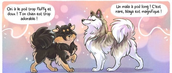 Comprendre les canidés pour mieux les dessiner - Dossier Animaux #1 ss2022 01 16at03.37.52
