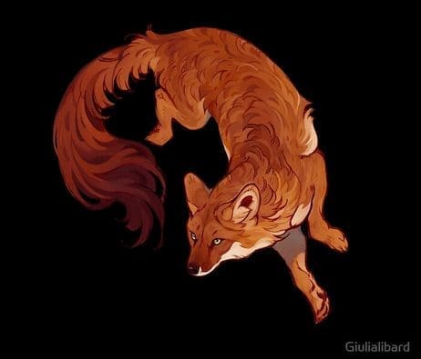 Comprendre les canidés pour mieux les dessiner - Dossier Animaux #1 ss2022 01 16at03.42.02 1