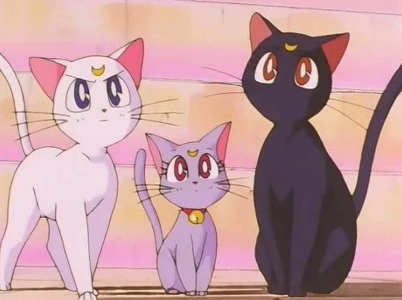Comprendre les félidés pour mieux les dessiner - Dossier Animaux #2 luna diana artemis