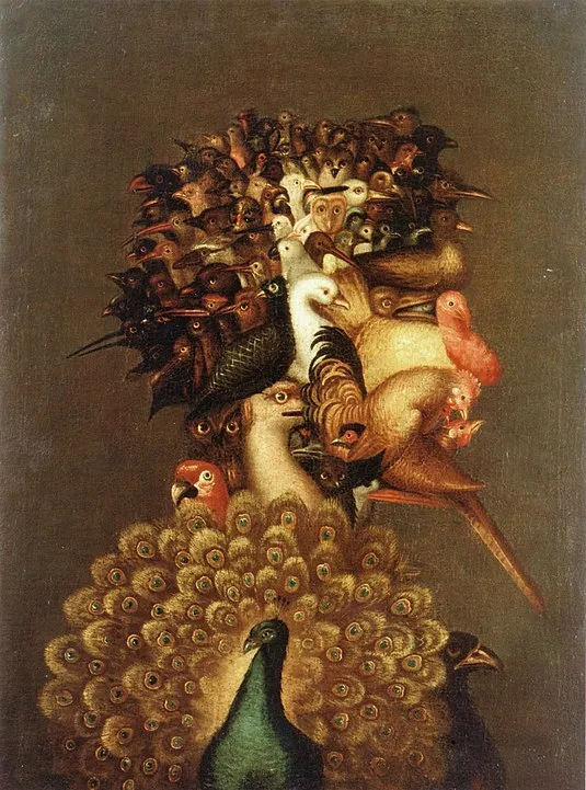Comprendre les oiseaux pour mieux les dessiner - Dossier Animaux #4 535px Arcimboldo Air copy1566
