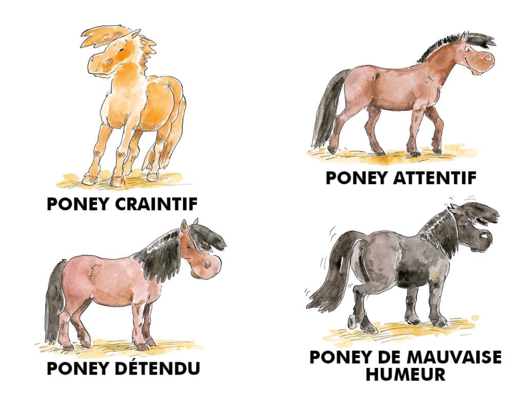 Comprendre les équidés pour mieux les dessiner - Dossier Animaux #3 6198743ad7fb833ddc8c2ffc284ebad8 1024x768 1
