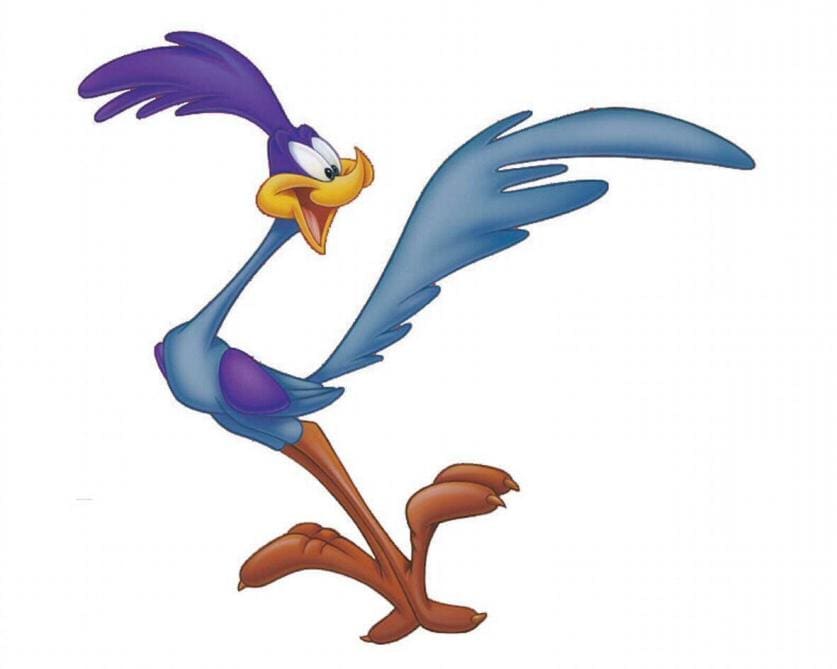 Comprendre les oiseaux pour mieux les dessiner - Dossier Animaux #4 B9716763247Z.1 20180830112045 000G9JBUF08B.2 0