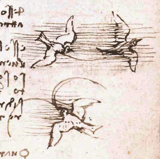 Comprendre les oiseaux pour mieux les dessiner - Dossier Animaux #4 Leonardo da Vinci Codice volo uccelli 6r 1505