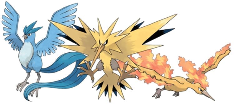 Comprendre les oiseaux pour mieux les dessiner - Dossier Animaux #4 legendary bird pokemon