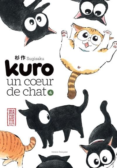 Réaliser une illustration de couverture BD ou Manga L1K86227