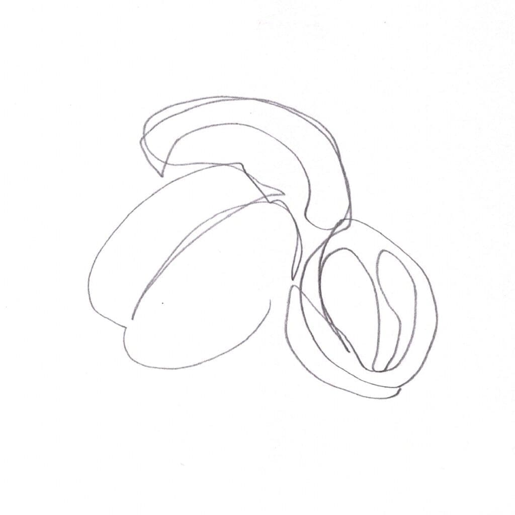 Exercice #14 : Chronométrer ses dessins exercice 14 noix 10 secondes