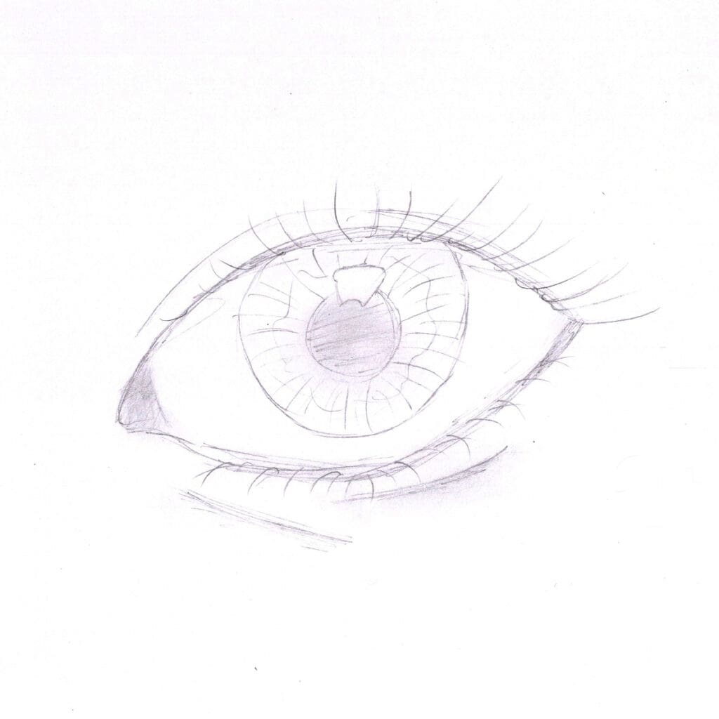 Exercice #14 : Chronométrer ses dessins exercice 14 oeil 5 min
