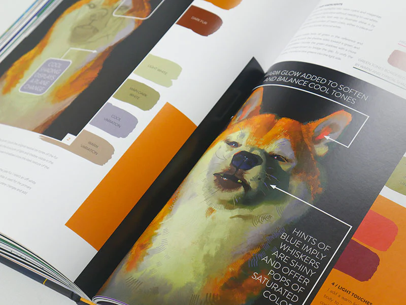 Les meilleurs ouvrages pour apprendre à dessiner les mangas P1170261