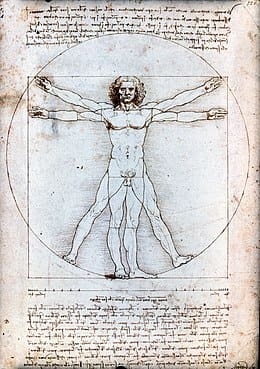 Proportions et canons anatomiques dans le manga Vitruvian Man by Leonardo da Vinci